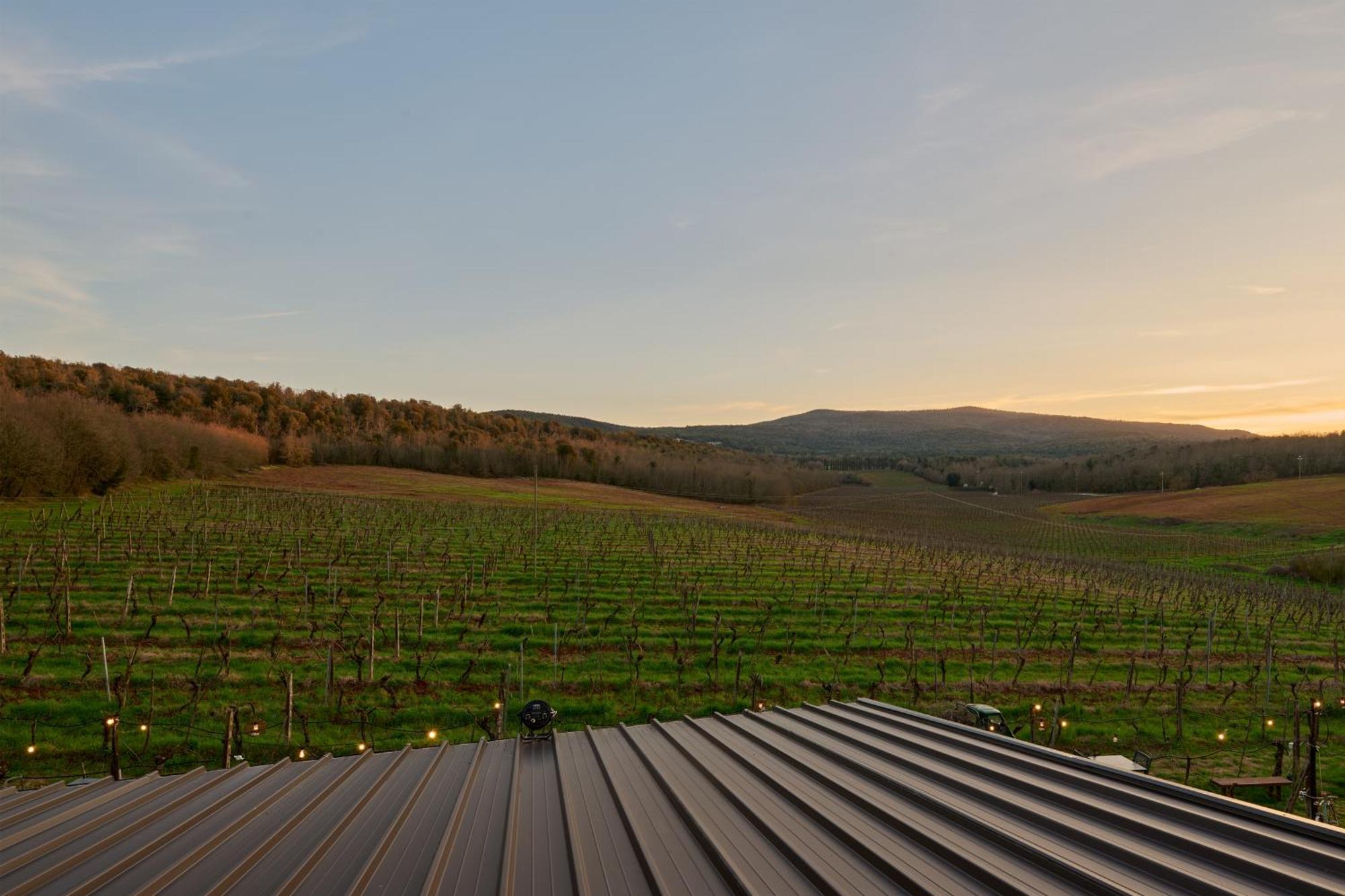 La Dama Country Rooms Monteriggioni Ngoại thất bức ảnh